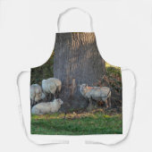 Cotswold Sheep Schort (Voorkant)