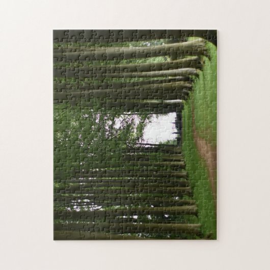 Cotswolds Forest Lush Green Trees Landscape UK Legpuzzel (Verticaal)