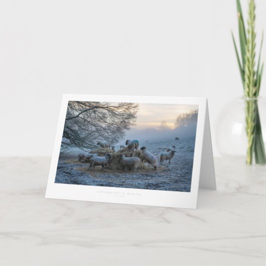 Cotswolds in de winter kaart (Voorkant)