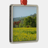 Cotswolds, Verenigd Koninkrijk Metalen Ornament (Rechts)