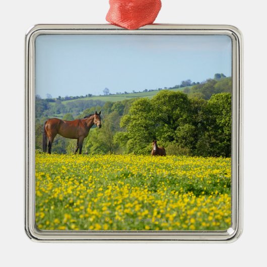 Cotswolds, Verenigd Koninkrijk Metalen Ornament (Voorkant)