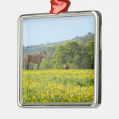 Cotswolds, Verenigd Koninkrijk Metalen Ornament (Links)