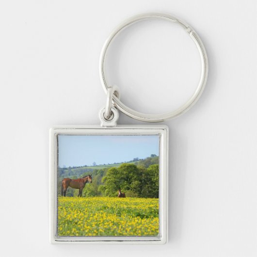 Cotswolds, Verenigd Koninkrijk Sleutelhanger (Voorkant)