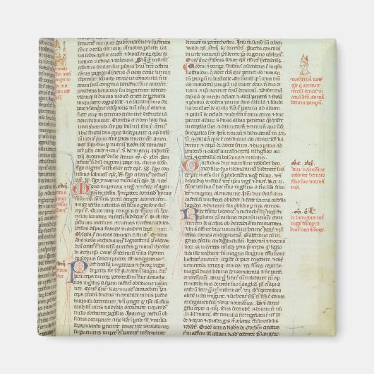 Cott Nero D II f.114 Adrian IV Magneet (Voorkant)