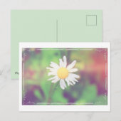 Cottage Daisy Postcrossover Briefkaart (Voorkant / Achterkant)