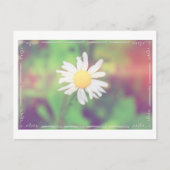 Cottage Daisy Postcrossover Briefkaart (Voorkant)
