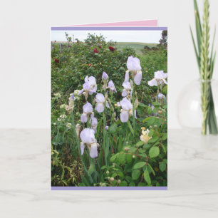 Cottage Garden Paars Iris Irises floral Kaart