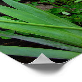 Cottage Garden Poster (Hoek)