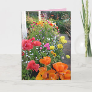 Cottage Garden Smile Roze Ranunculus bloemkaart Kaart