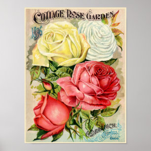 Cottage Roos Garden Drobisch Advertisement Poster
