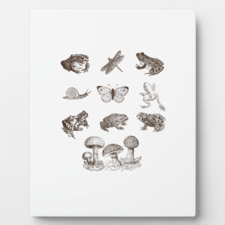 Cottagecore Aesthetic Mushroom Academia Frog Gobli Fotoplaat