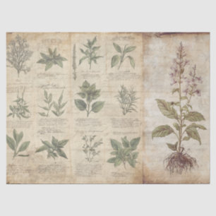 Cottagecore Antieke Botanische Kruiden Decoupage Tissuepapier