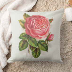 Cottagecore Antieke Roze Roos Bloem Illustratie Kussen