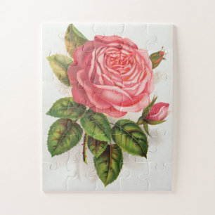 Cottagecore Antieke Roze Roos Bloem Illustratie Legpuzzel