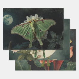 Cottagecore Maanmot Gotische Maanmot Nocturne Inpakpapier Vel