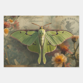 Cottagecore Moon Moth Gothic Moon Moth Nocturne Inpakpapier Vel