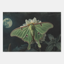 Cottagecore Moon Moth Gothic Moon Moth Nocturne Inpakpapier Vel