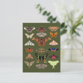 Cottagecore Moths Green Briefkaart (Staand voorkant)