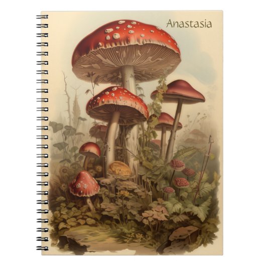 Cottagecore Mushroom Notitieboek (Voorkant)