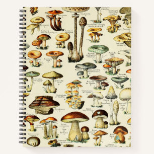Cottagecore Mushrooms Naturalist Notitieboek