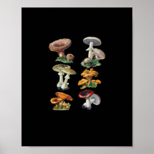 Cottagecore Paddenstoelen Goblincore Esthetiek Pad Poster