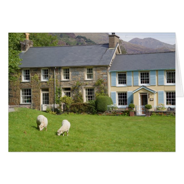Cottages, Beddgelert, Gwynedd, Wales (Voorkant Horizontaal)
