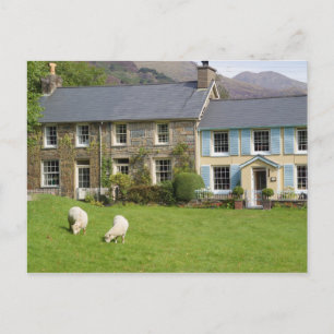 Cottages, Beddgelert, Gwynedd, Wales Briefkaart