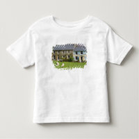 Cottages, Beddgelert, Gwynedd, Wales