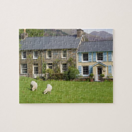 Cottages, Beddgelert, Gwynedd, Wales Legpuzzel (Horizontaal)