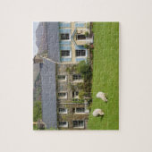Cottages, Beddgelert, Gwynedd, Wales Legpuzzel (Verticaal)
