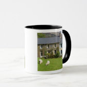 Cottages, Beddgelert, Gwynedd, Wales Mok (Voorkant rechts)