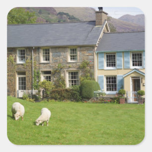 Cottages, Beddgelert, Gwynedd, Wales Vierkante Sticker