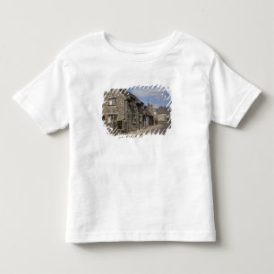 Cottages, Corfe Castle dorp, Dorset, Engeland, Kinder Shirts