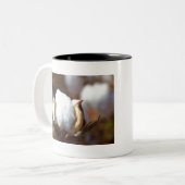 Cotton Boll Art Tweekleurige Koffiemok (Voorkant links)
