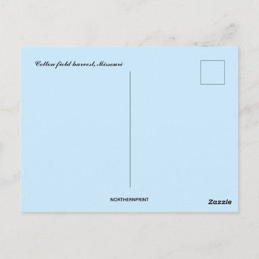 Cotton Field Harvest Missouri Briefkaart (Achterkant)