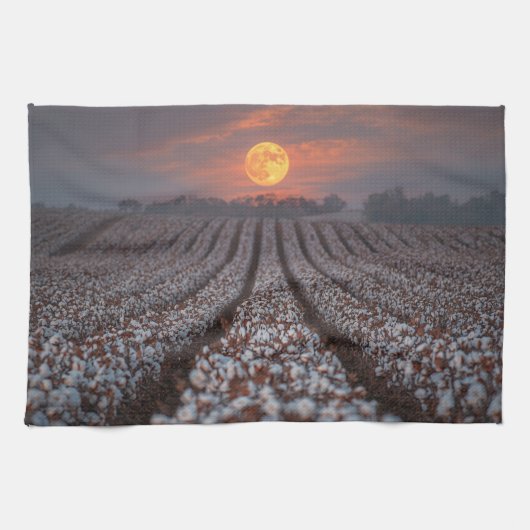 Cotton Field Harvest Moon - Farmhouse Decor Theedoek (Horizontaal)