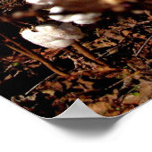 Cotton Field - Murfreesboro, Tennessee Poster (Hoek)