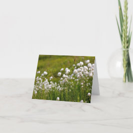 Cotton Grass Meadow - 4" x 5.6" Notecard Feestdagen Kaart