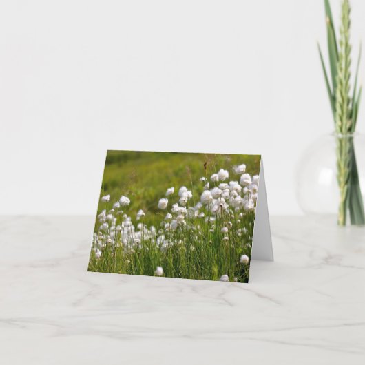 Cotton Grass Meadow - 4" x 5.6" Notecard Feestdagen Kaart (Voorkant)