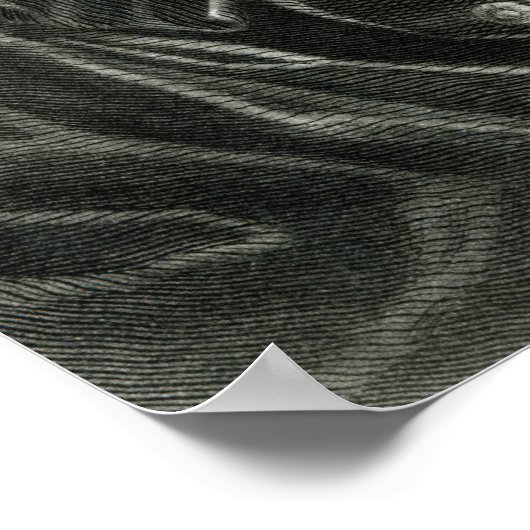 Cotton Mather Poster (Hoek)