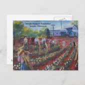 Cotton Pickin' in Oklahoma Briefkaart (Voorkant / Achterkant)