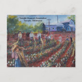 Cotton Pickin' in Oklahoma Briefkaart (Voorkant)