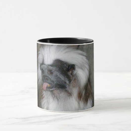COTTON-TOP TAMARIN2 MOK (Midden)