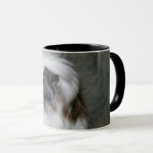 COTTON-TOP TAMARIN2 MOK (Voorkant rechts)