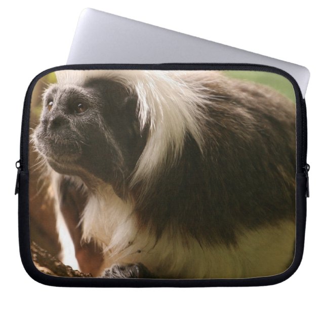 Cotton Topped Tamarin Monkey Laptop Sleeve (Voorkant)