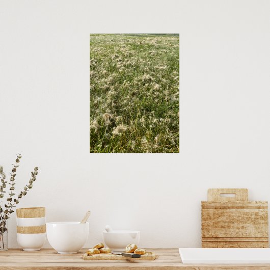 Cotton Willow Fluff Poster (Keuken)