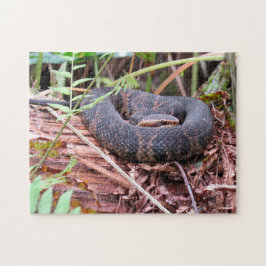 Cottonmouth Snake Puzzle Legpuzzel