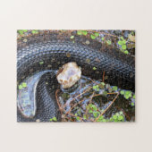 Cottonmouth Snake Puzzle Legpuzzel (Horizontaal)