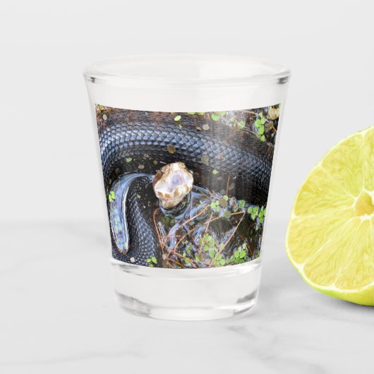 Cottonmouth Snake Shot Glass Glas (Voorkant)