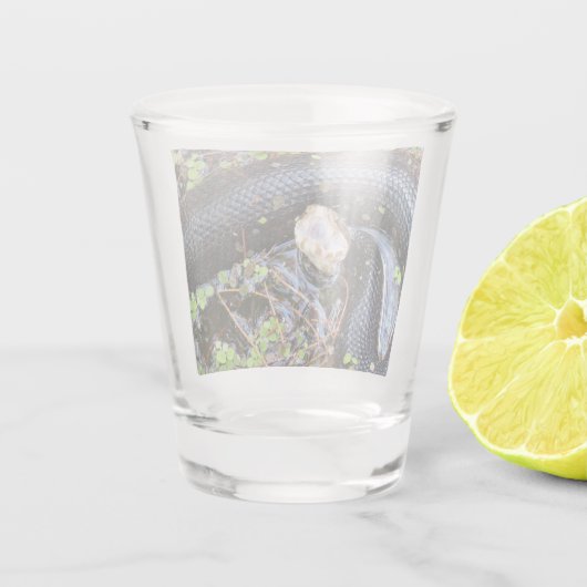 Cottonmouth Snake Shot Glass Shot Glas (Achterkant)